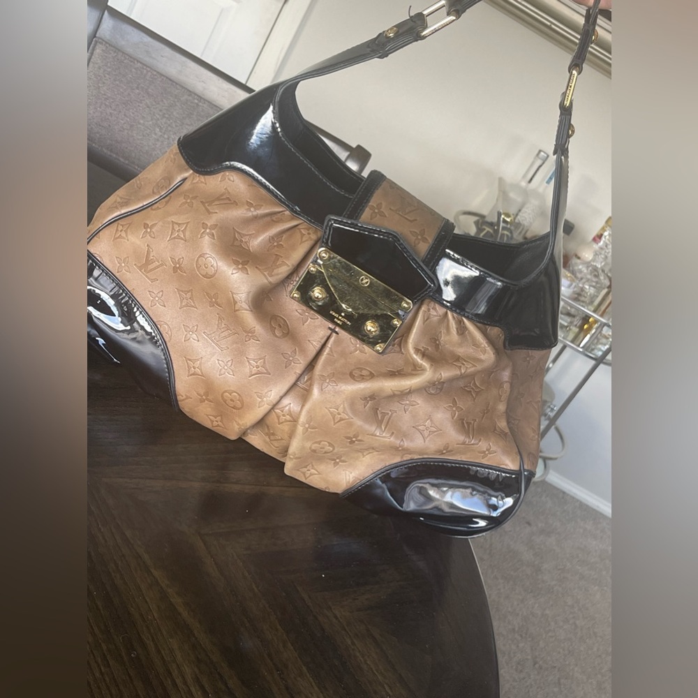 Louis Vuitton Purse